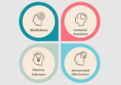 DBT(Dialectical Behaviour Therapy)